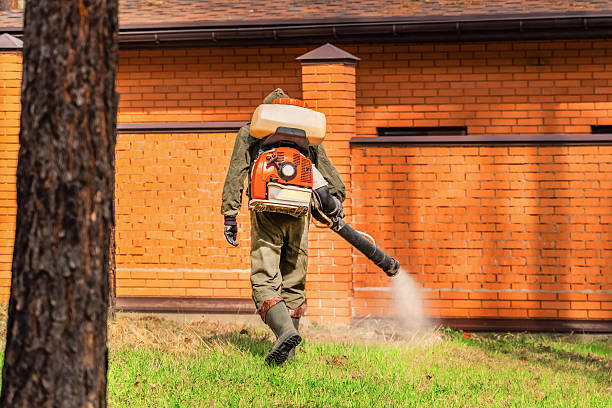 Trusted Bed Bug Control service in Cascades, VA - Nex Pest Control